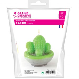 Moule bougie latex - cactus