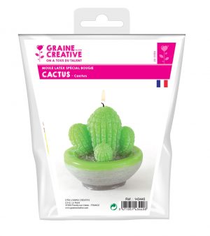 Moule bougie latex - cactus